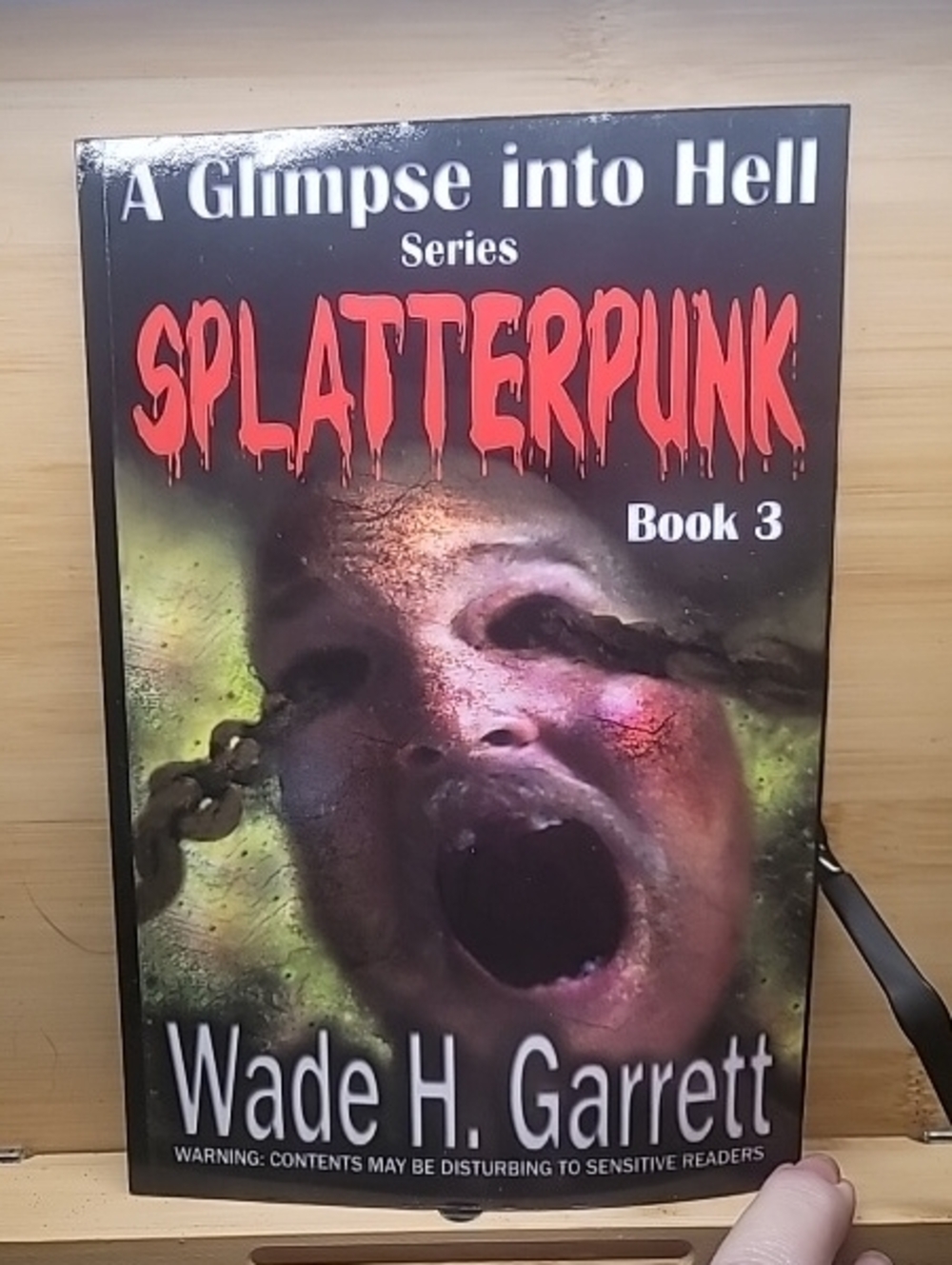 Splatterpunk Book 3 From GLIMPSE INTO HELL SERIES- Black Cover